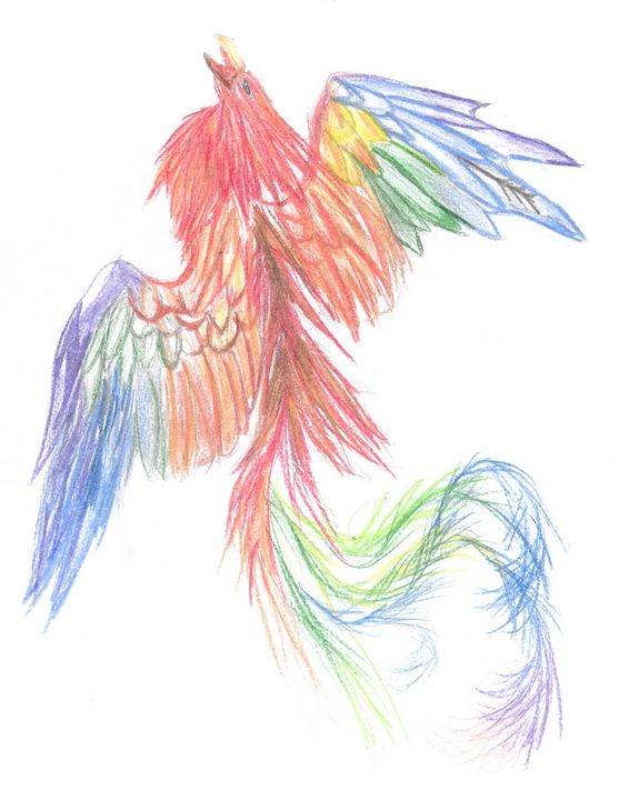 phoenix bird drawings in pencil