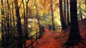 Forest Path. - kenneth Karls Fine Art