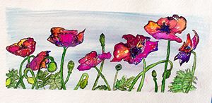 Happy poppies
