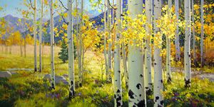 Afternoon Aspen Trail