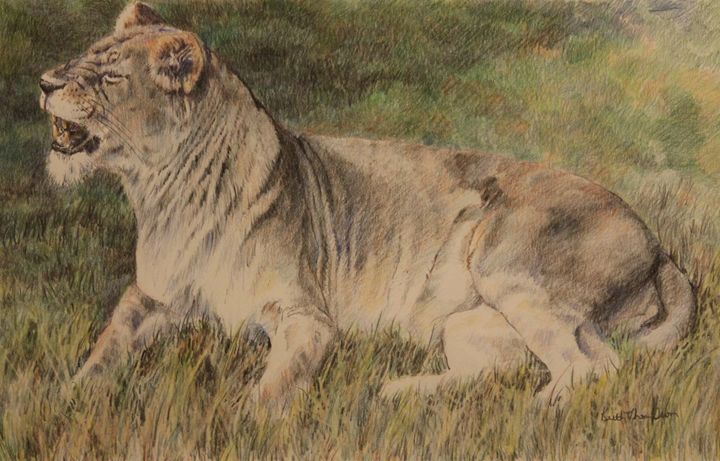 The Lioness - keiththompsonart