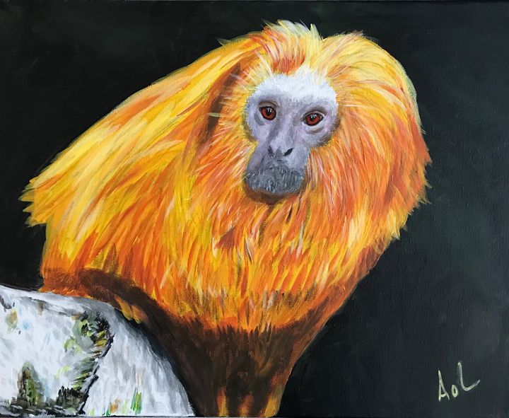 GOLDEN LION TAMARIN - Art Of Lonnie - Paintings & Prints, Animals, Birds, &  Fish, Primates, Monkeys - ArtPal