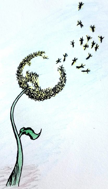 dandelion blowing into birds drawing