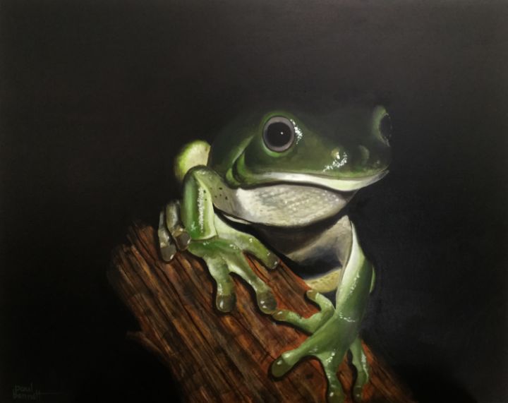 Frog - Paul Bennett - Artist