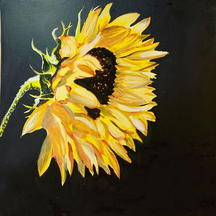 Sunflower - Jing