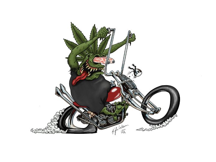 Rat deals fink bike