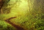Hidden Path Art