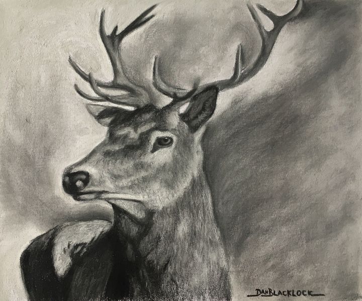 Deer drawing - DanielBlacklockArt - Drawings & Illustration, Animals,  Birds, & Fish, Deer - ArtPal