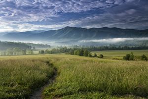 Cades Cove Meadow
