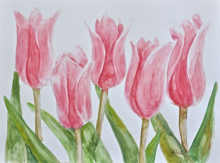 Pink Tulips - Gracie L Hampton