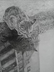 City Kitty - Frances Vincent Arts