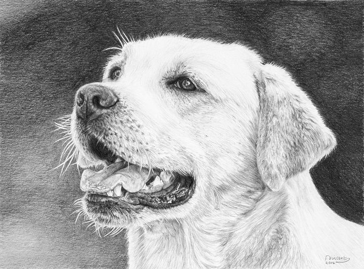 Mans Best Friend - Frances Vincent Arts
