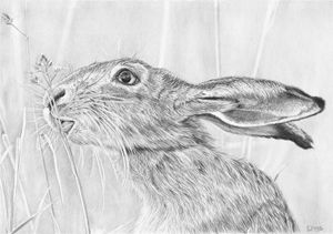 Lunchtime Munchtime - Frances Vincent Arts