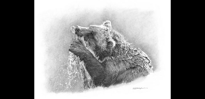 Grizzly bear sketch Stock Photos, Royalty Free Grizzly bear sketch Images |  Depositphotos