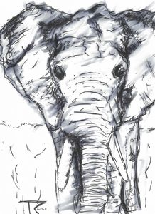 Details more than 79 elephant rough sketch latest - seven.edu.vn