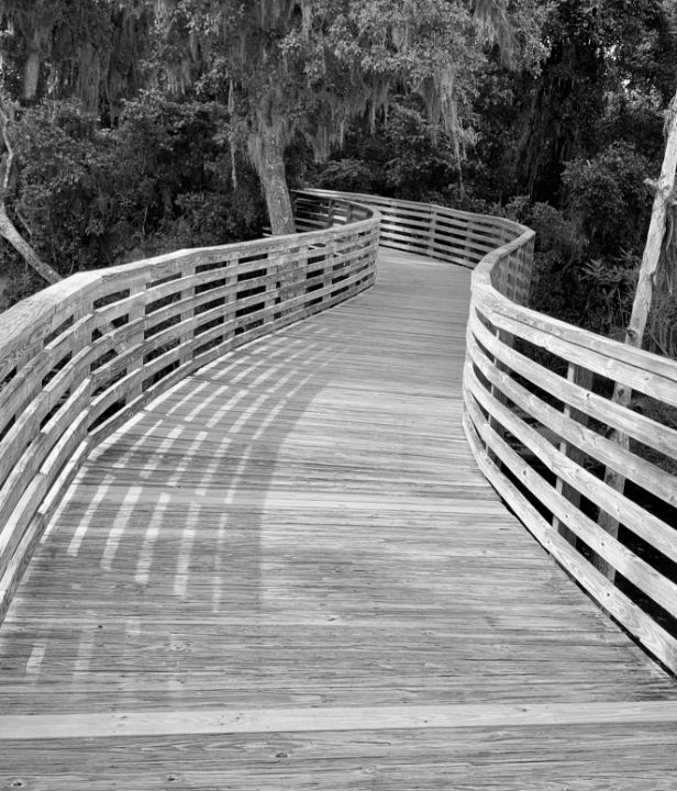 The Boardwalk in Black and White - RMB Photography