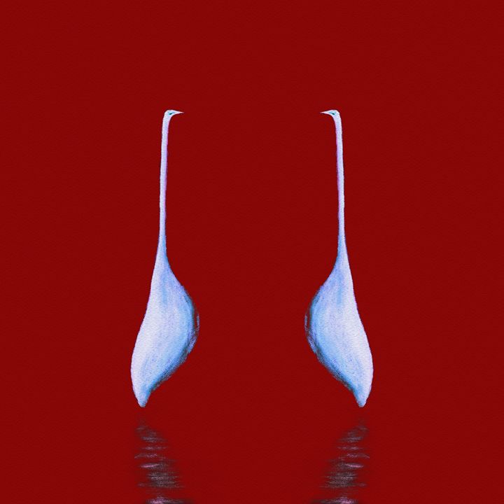 Egret Mirrored on Red Square - Geckojoy