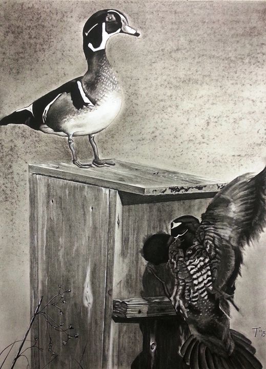 South Carolina Wood Ducks - MyMixedMedia
