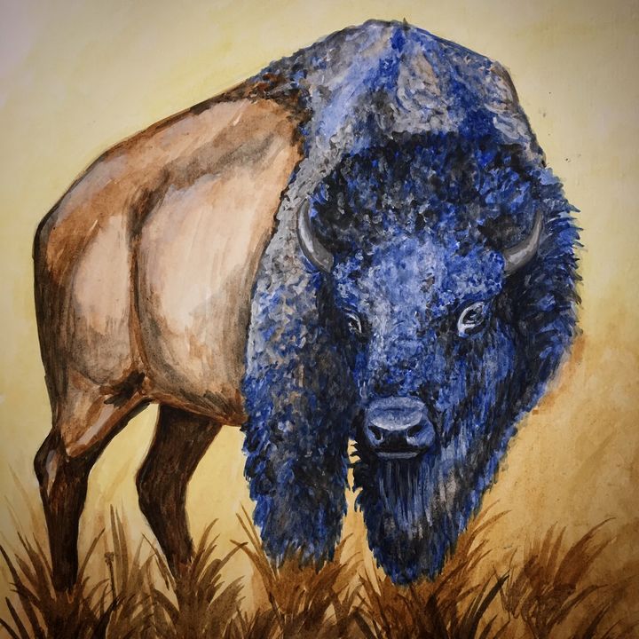 Blue Buffalo Dream - Jenni Clarke