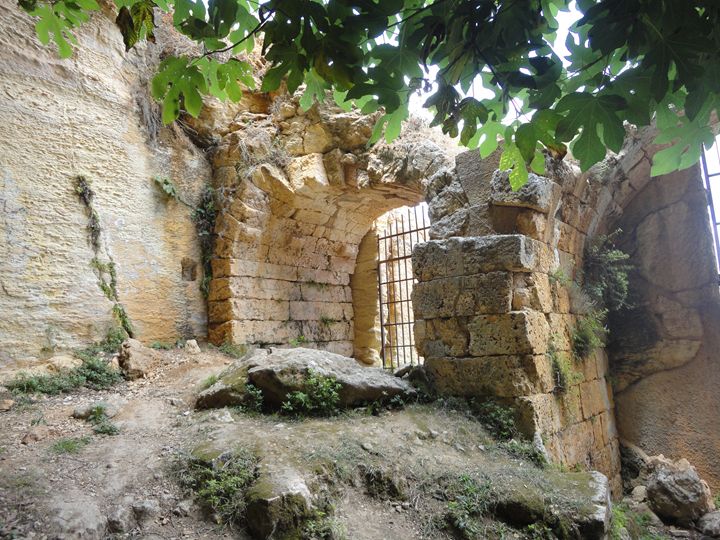 Amazing Me Photography