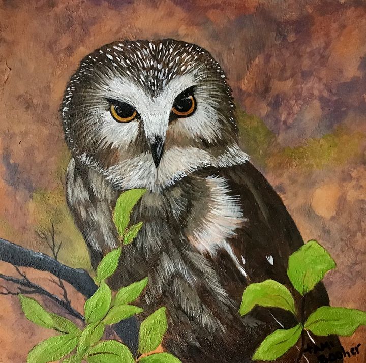 Northern Saw Owl - Tami Booher Appalachian Nature Painter - Paintings ...