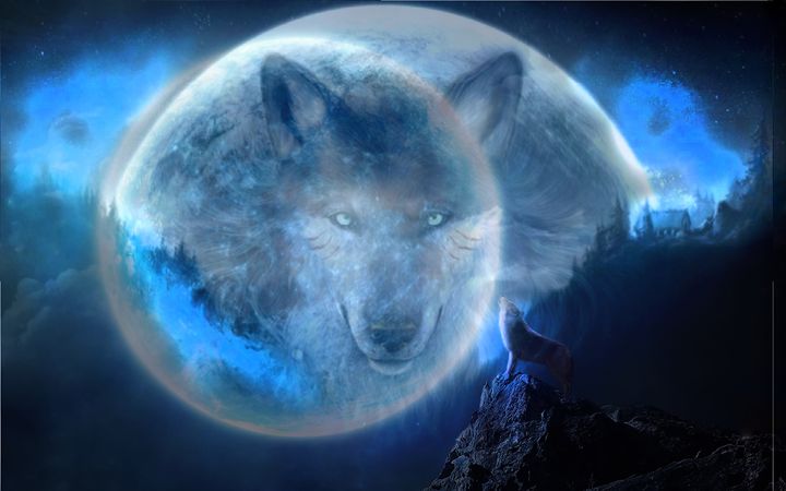 anime moon wolf