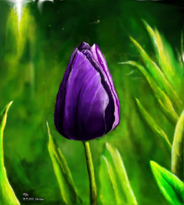 Purple Tulip - mikiish