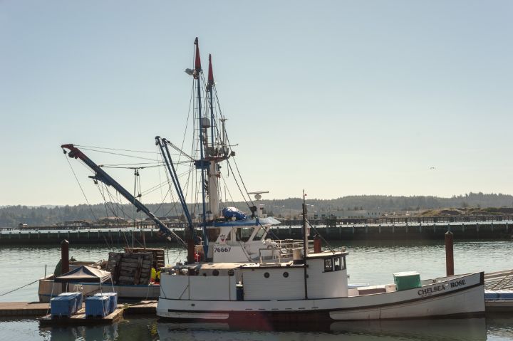 Sit'n the Bay - The Graceful Image - Photography, Landscapes & Nature ...