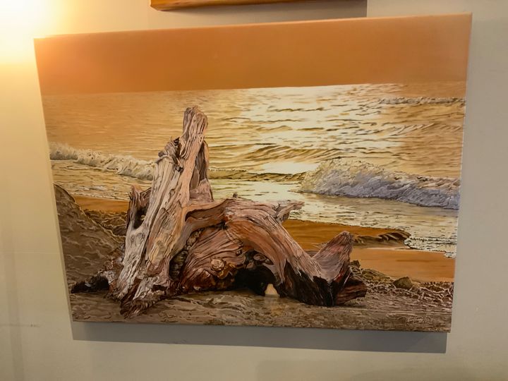 Driftwood on beach - Angelfire Art Studio