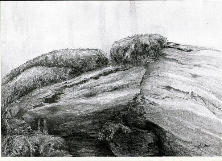 old tree - artmishel