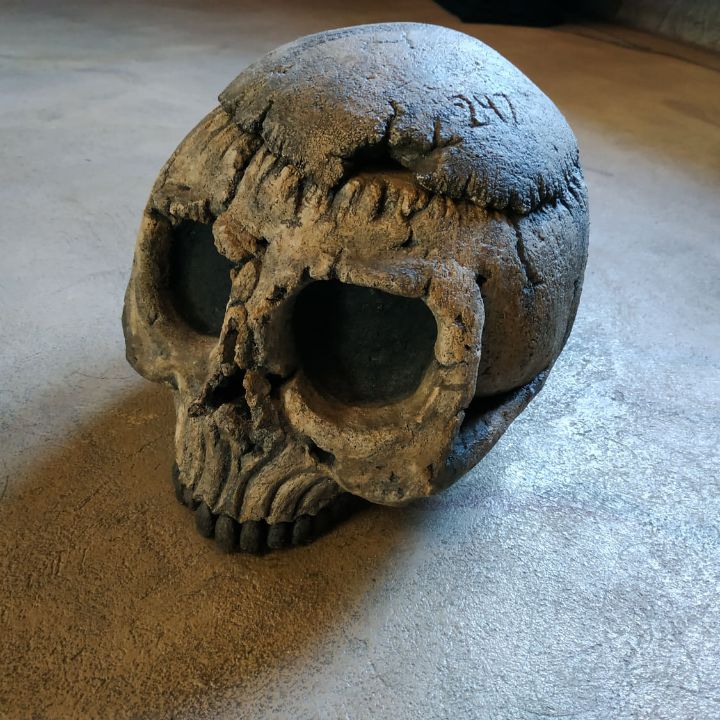 247 - Zee Skulls - Sculptures & Carvings, Fantasy & Mythology, Magical,  Skeletons - ArtPal