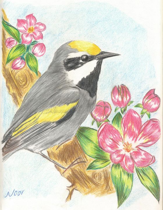 Robin on Branch | Zen Art | Minimalist Bird Drawing