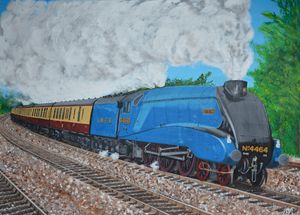 Bittern storming up the East Coast
