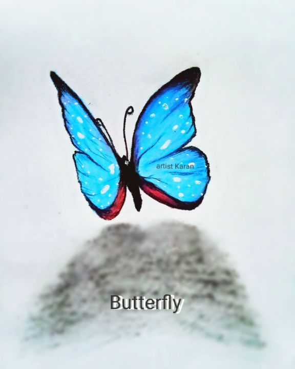 Butterfly Drawing With Colour Clipart (#4620140) - PikPng