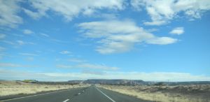 The Road Trip