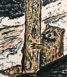 Racoon Holding Tree