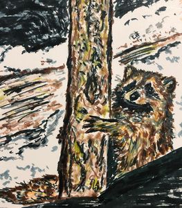 Raccoon charcoal drawing - Teresa Payne Art - Drawings & Illustration,  Animals, Birds, & Fish, Raccoon - ArtPal