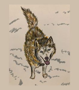 Husky