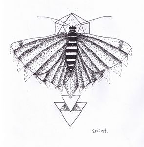 geometric moth