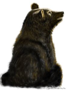 The Bear - Paintings and Photos - Drawings & Illustration, Animals ...