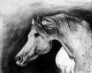 Beast of beauty