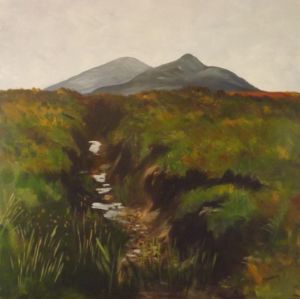 Cut Bog, Donegal - Tony Gunning