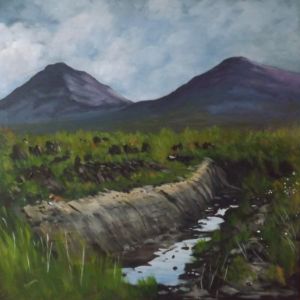 Cut Bog, Connemara - Tony Gunning