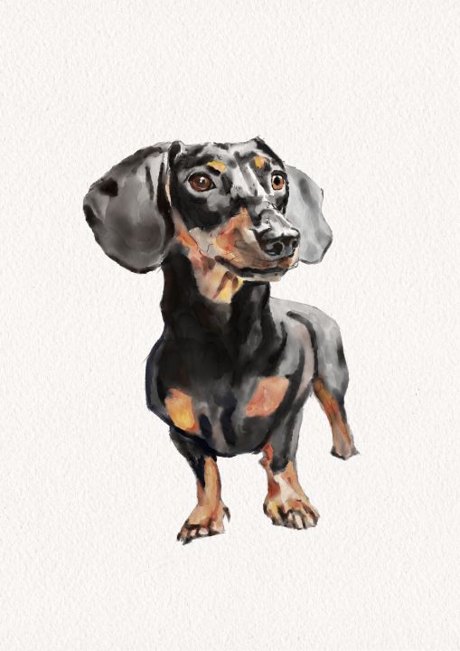 Dachshund Watercolor - Polymbas