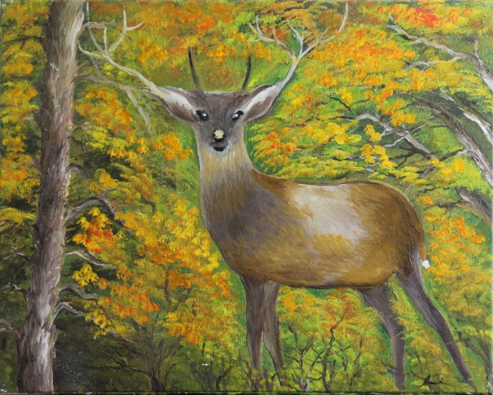 Deer Without Headlights - Amal's Art