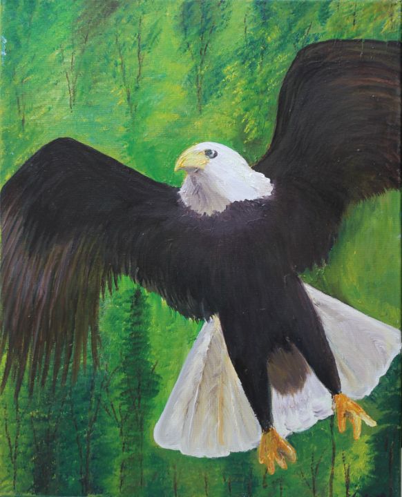 Bald Eagle - Amal's Art