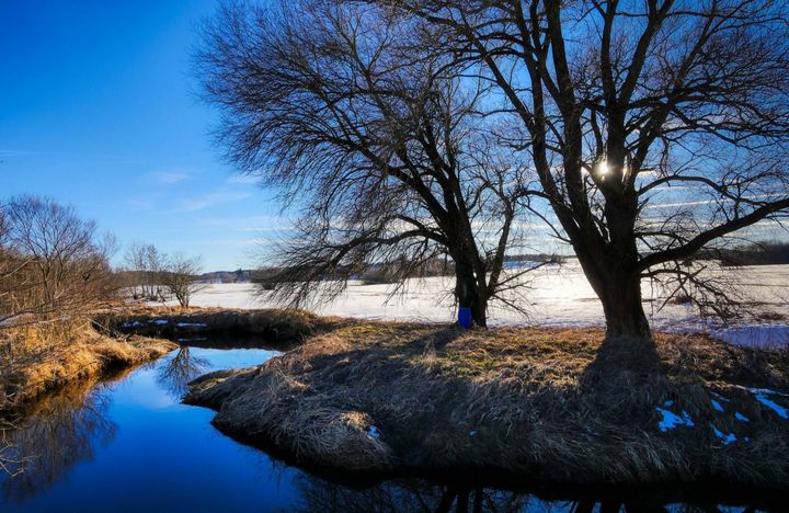Winter - Magnolia - Photography, Landscapes &amp; Nature, Panoramas - ArtPal