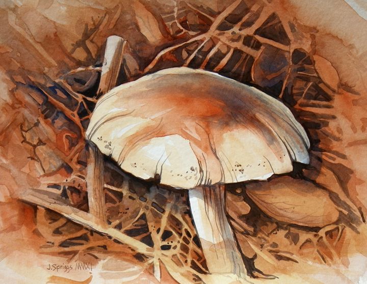 Mushroom - Jim Spriggs