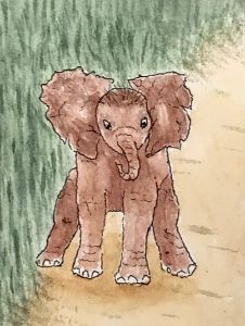 Orphan Elephant