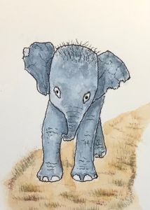 Baby Elephant on Path